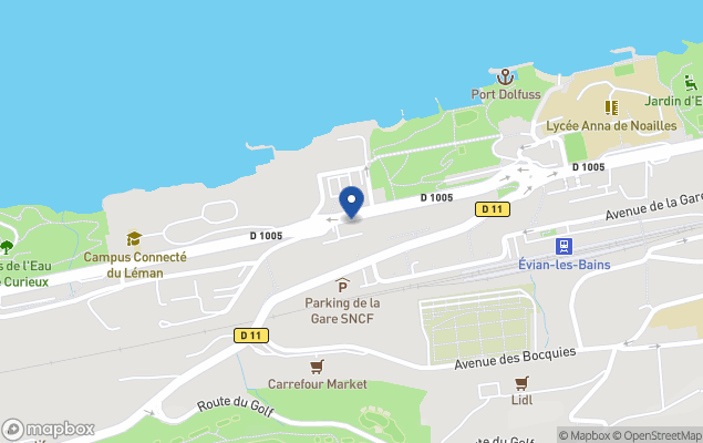 conseil immobilier lemanique